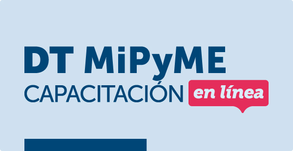 DT MiPyME Capacitación DT MiPyME Capacitación