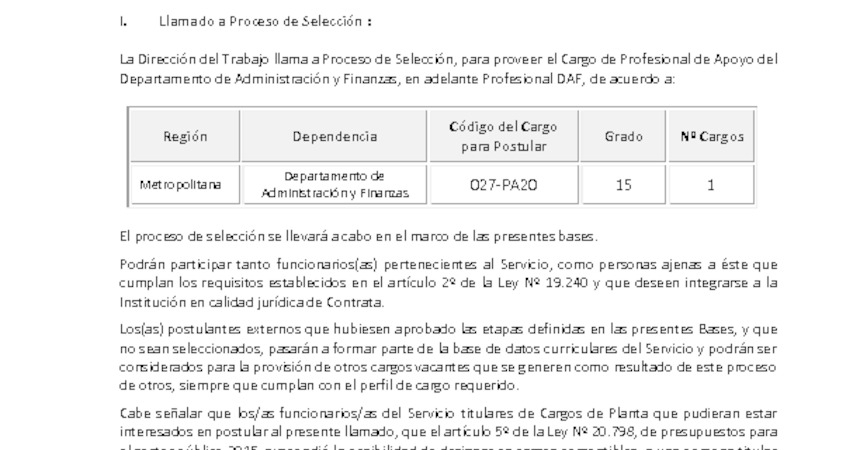 Bases de proceso de selección: Profesional DAF