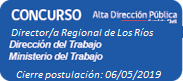 Director/a Regional Región de Los Ríos