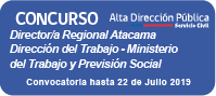 Director/a Regional Región de Atacama