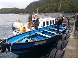 Dirección del Trabajo fiscaliza a centros de cultivo de salmones en Aysén