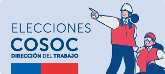 Elecciones COSOC 2024