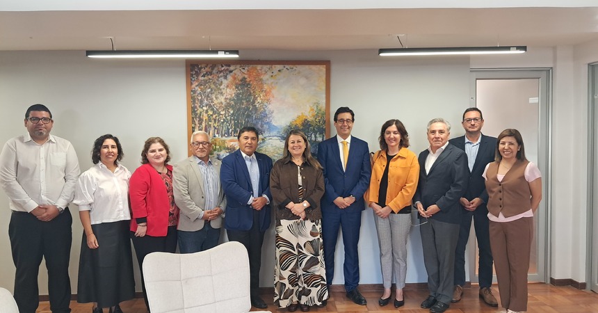 Jefa de USESAT representa a la DT como jurado en la XVIII edición del Premio Tucapel González García