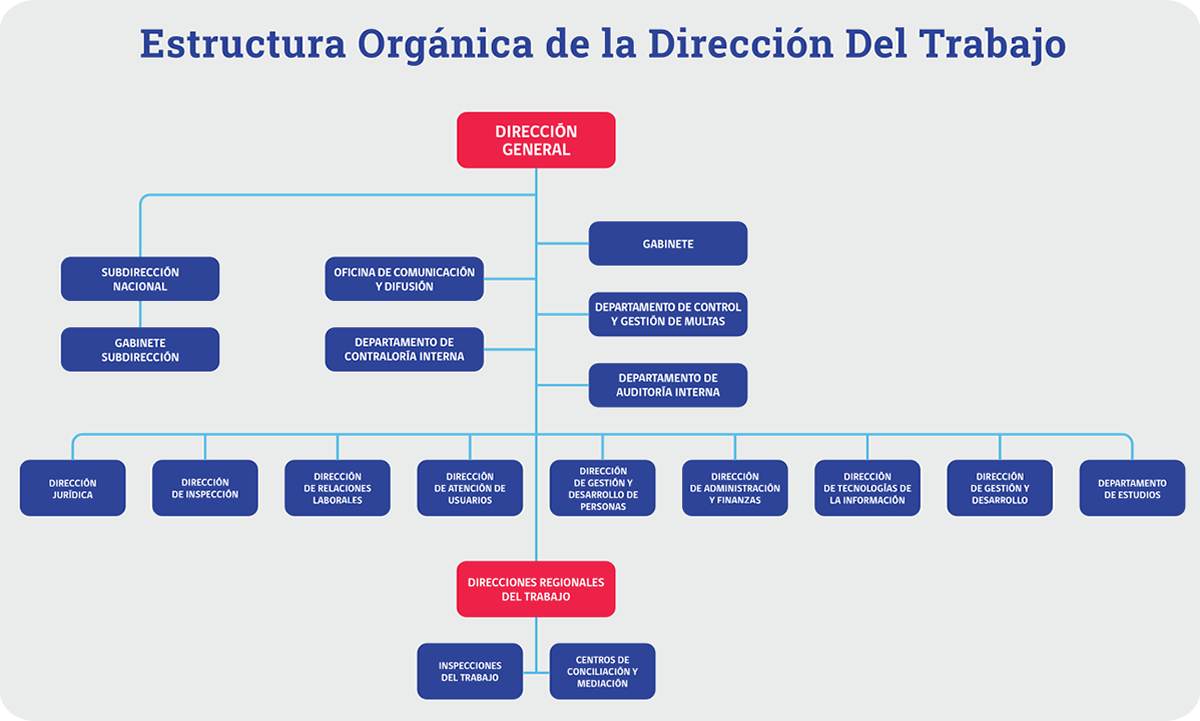 Imagen de organigrama DT 2026