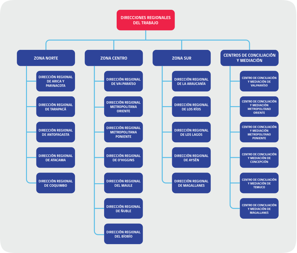 Imagen organigrama Direcciones Regionales DT