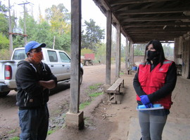Maule: Dirección del Trabajo detectó empresa agrícola en Villa Alegre que incumplía con normas de higiene y seguridad contra coronavirus