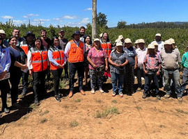 Reuniones con el mundo sindical y visitas en terreno marcan agenda de Director del Trabajo en La Araucanía