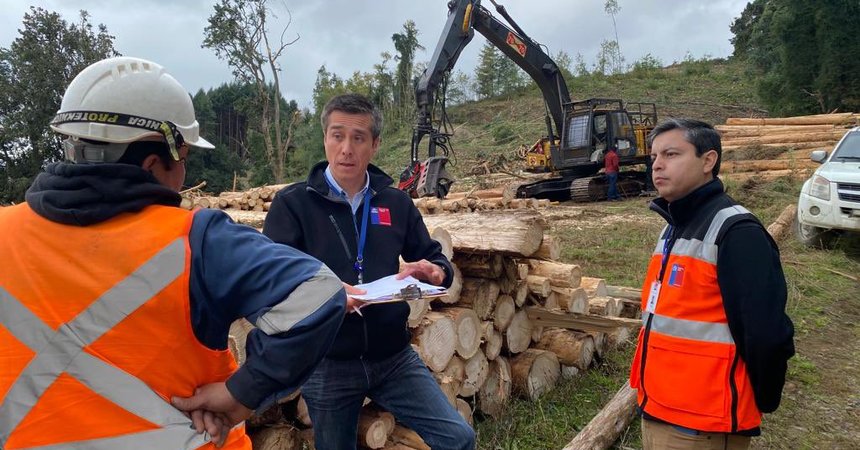Dirección del Trabajo fiscaliza a 10 empresas forestales de la provincia de Osorno