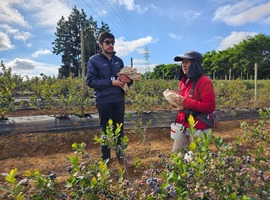 Dirección del Trabajo detectó múltiples infracciones de seguridad en fiscalización a fundo agrícola en Osorno