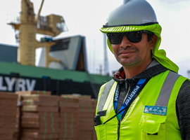 Dispersión y fragmentación sindical en Chile. Una síntesis de su evolución histórica y de sus características actuales