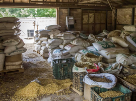 Granero de almacenamiento de sacos de alimentos