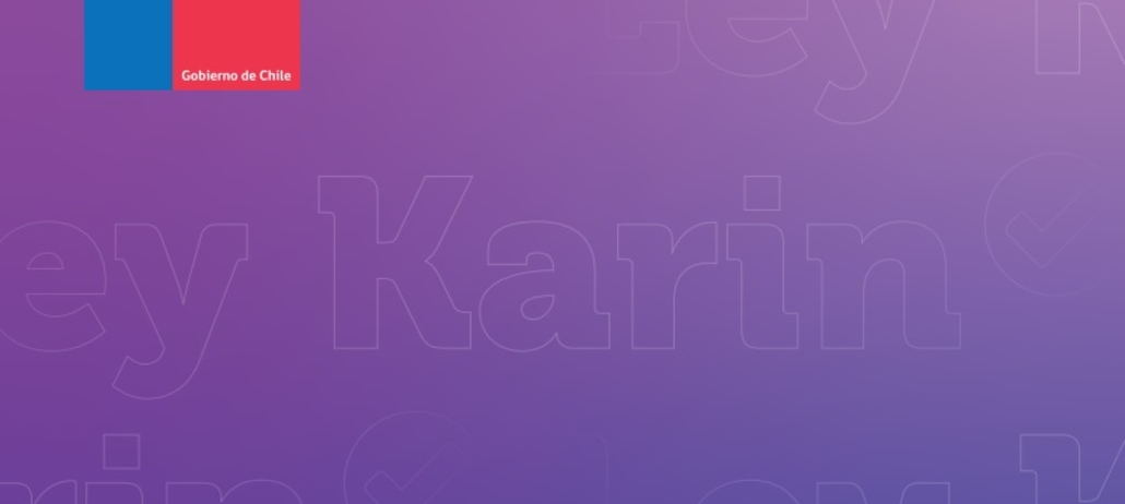 Portada informe Ley Karin