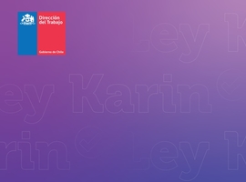 Portada informe Ley Karin