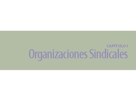 Capítulo 1: Organizaciones Sindicales