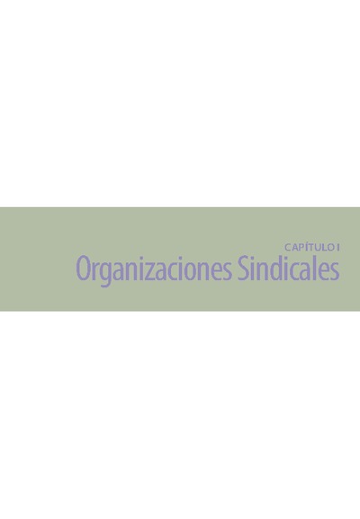 Capítulo 1: Organizaciones Sindicales