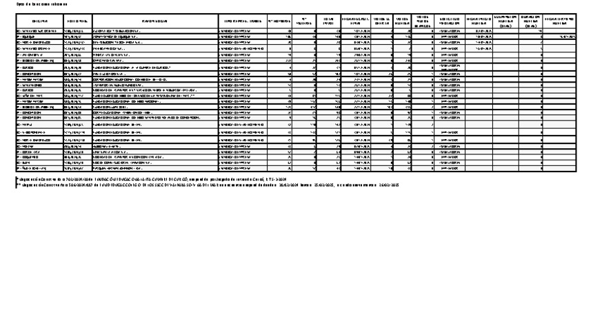 Informe 20.01.2025