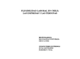 Nº 22 Flexibilidad laboral en Chile: Las empresas y las personas